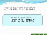 小学科学教科版一年级下册2.3观察一种动物课件PPT