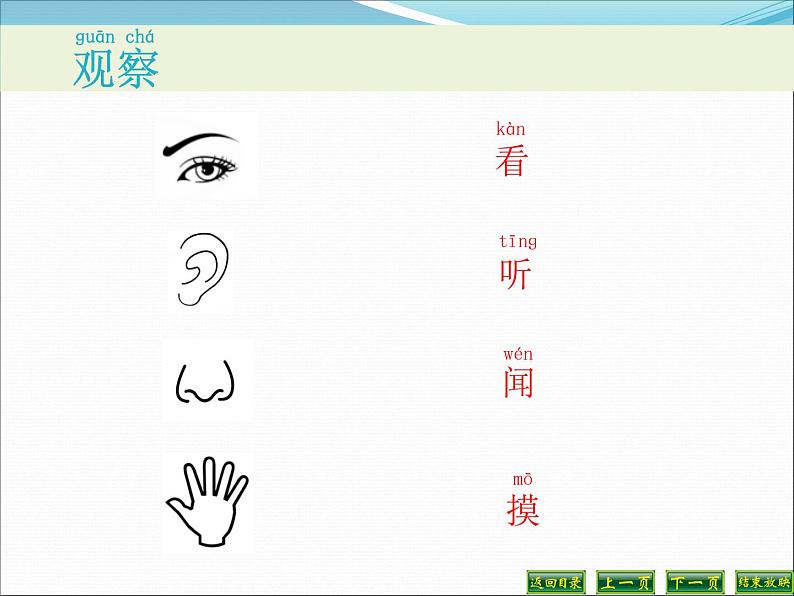 小学科学教科版一年级下册2.3观察一种动物课件PPT第5页