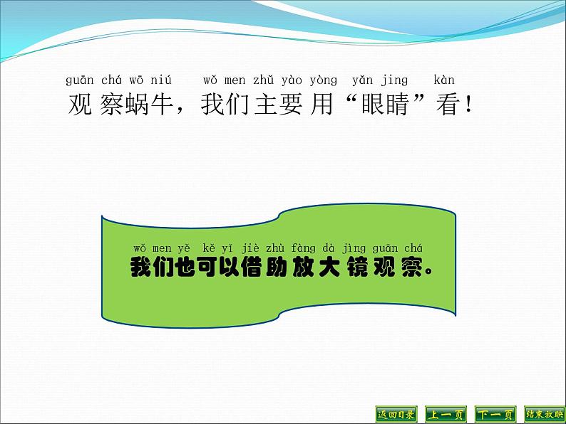 小学科学教科版一年级下册2.3观察一种动物课件PPT第6页