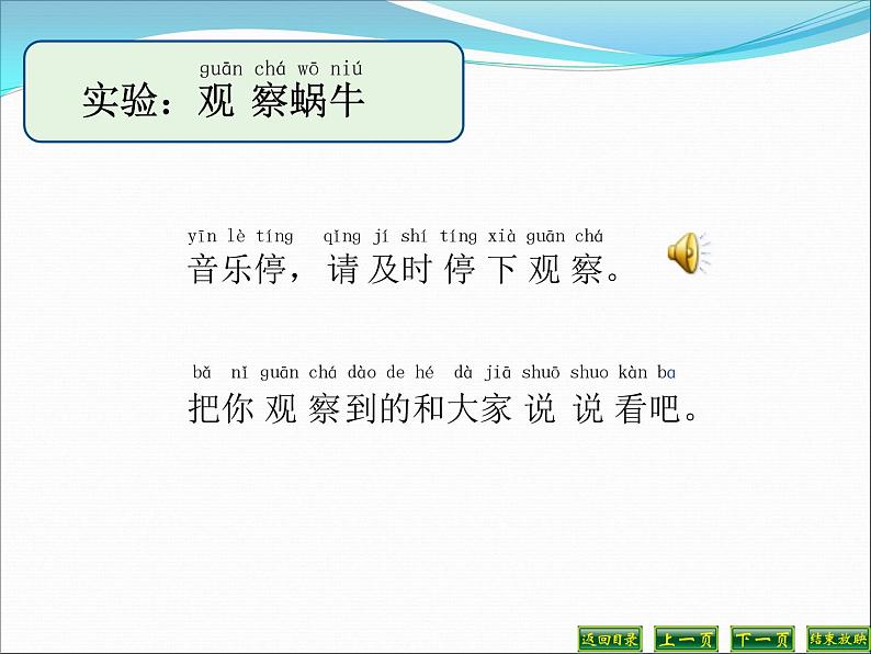 小学科学教科版一年级下册2.3观察一种动物课件PPT第8页