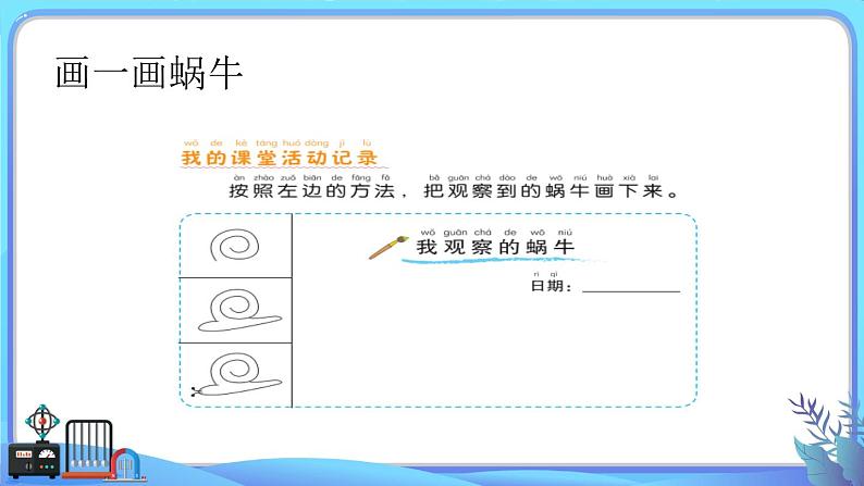 小学科学一年级下册教科版《观察一种动物》教学课件04