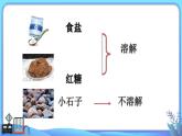 小學(xué)科學(xué)一年級(jí)下冊(cè)教科版《它們?nèi)ツ睦锪恕方虒W(xué)課件