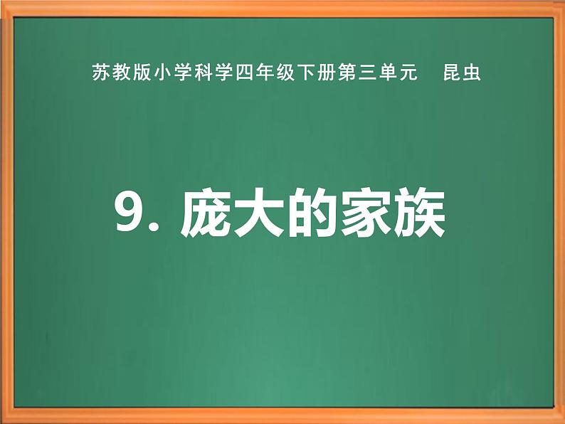 苏教版小学科学四下第三单元《9.庞大的家族》课件PPT+教案+视频素材01