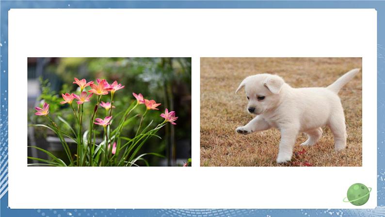 新教科版科学六下 1 厨房里的物质与变化 PPT课件第3页