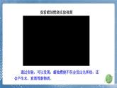 新教科版科學(xué)六下 3 發(fā)現(xiàn)變化中的新物質(zhì)PPT課件+教案+視頻素材
