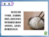 新教科版科学六下 6 生命体中的化学变化PPT课件+教案+视频素材