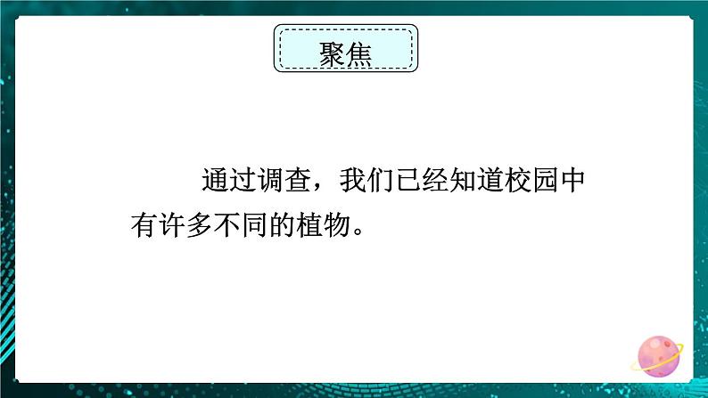 新教科版科学六下 第3课 形形色色的植物PPT课件+教案+视频素材02