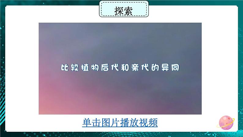 新教科版科学六下 第3课 形形色色的植物PPT课件+教案+视频素材05