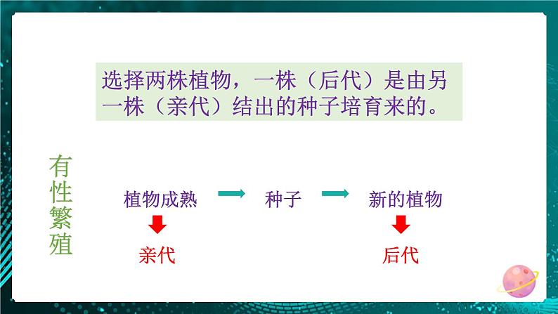 新教科版科学六下 第3课 形形色色的植物PPT课件+教案+视频素材06