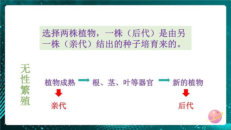 新教科版科学六下 第3课 形形色色的植物PPT课件+教案+视频素材07