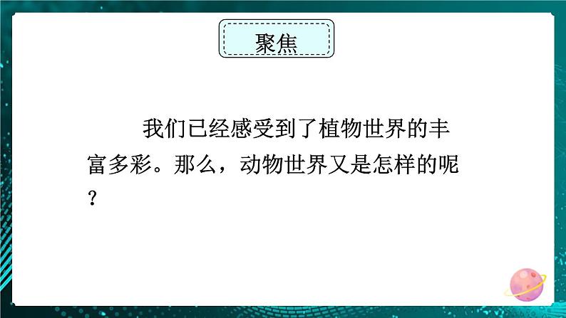 新教科版科学六下 4.多种多样的动物 PPT课件第2页