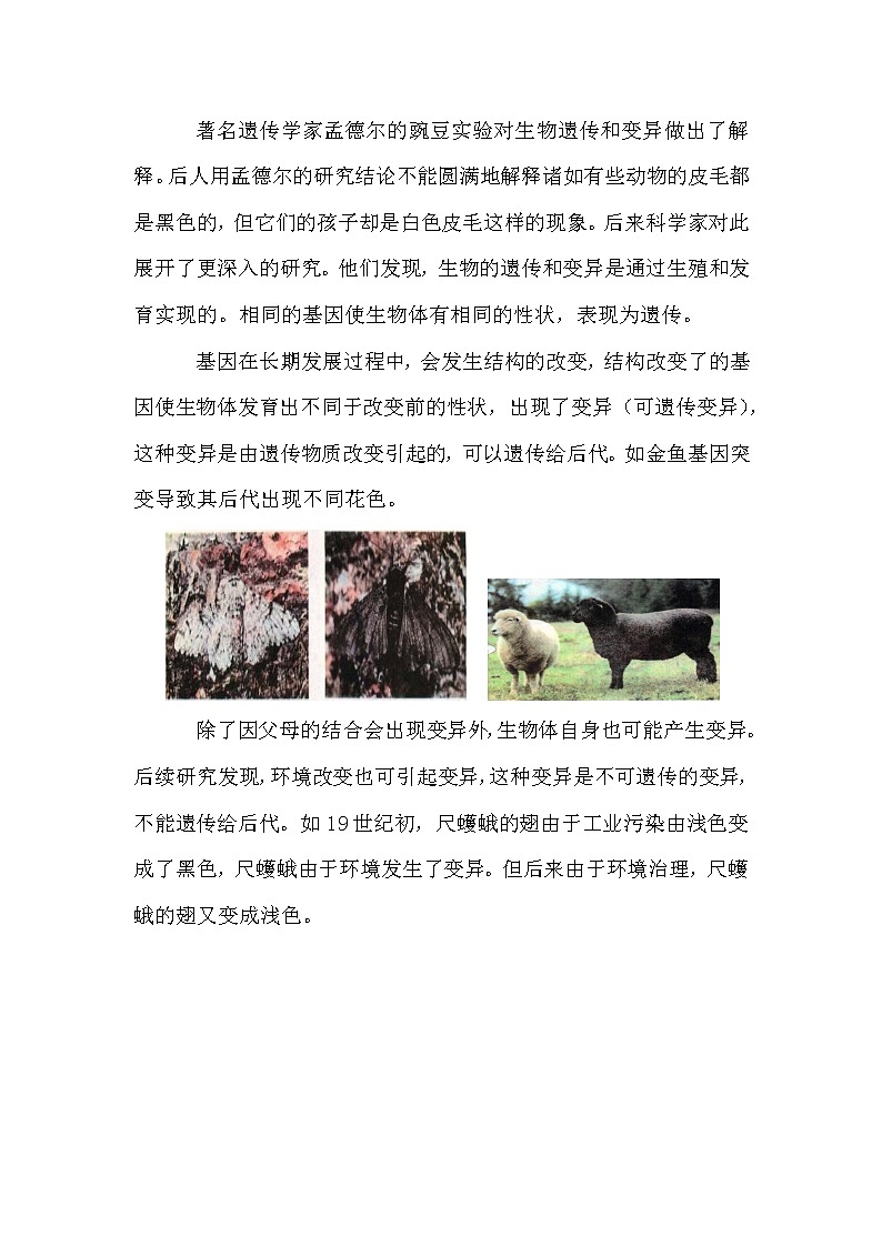 基因突变第1页