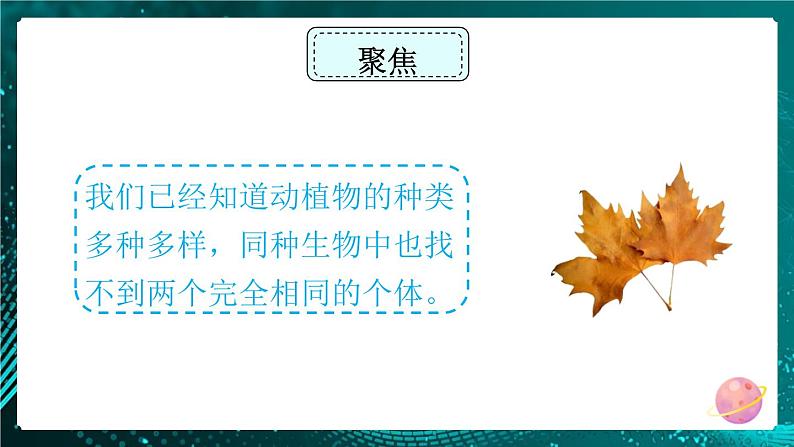 新教科版科学六下 5.相貌各异的我们 PPT课件第3页
