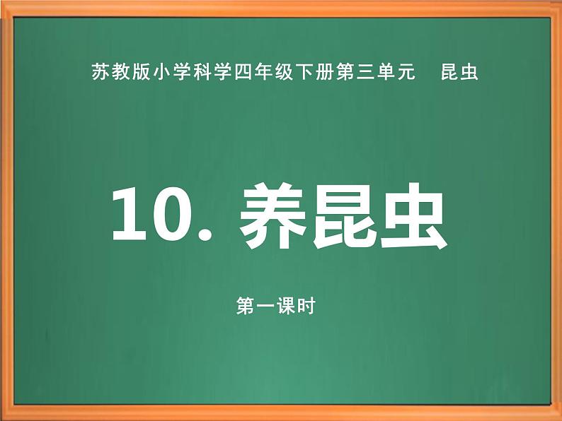 苏教版小学科学四下第三单元《10.养昆虫》（第一课时）课件PPT+教案+视频素材01