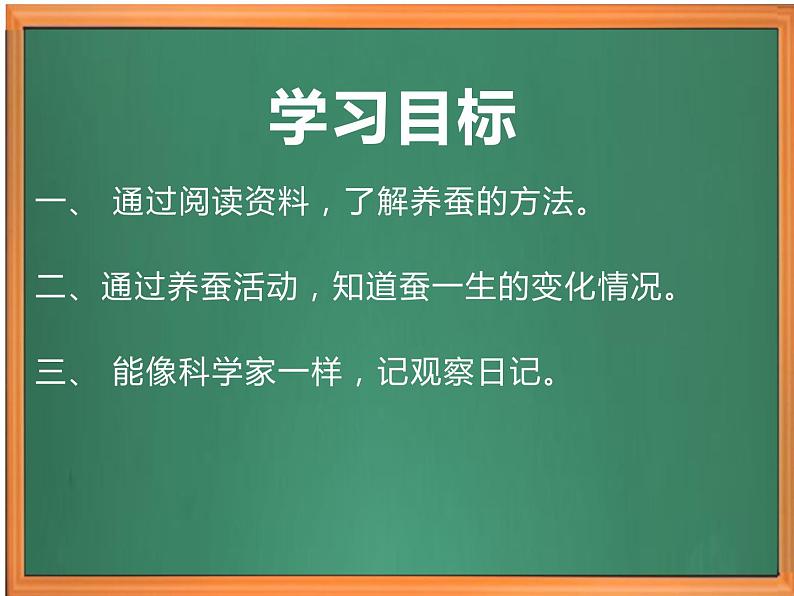 苏教版小学科学四下第三单元《10.养昆虫》（第一课时）课件PPT+教案+视频素材02