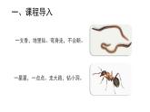 小學科學教科版一年級下冊2校園里的動物課件PPT