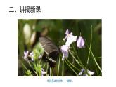 小學科學教科版一年級下冊2校園里的動物課件PPT