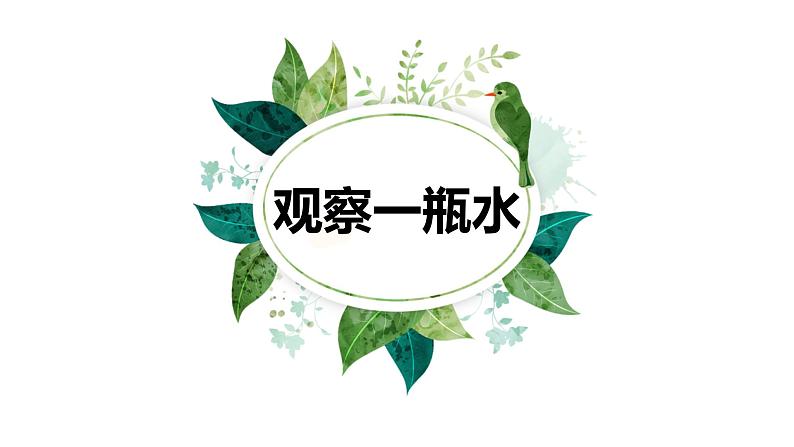 小学科学教科版一年级下册3观察一瓶水课件PPT01