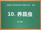 苏教版小学科学四下第三单元《10.养昆虫》（第二课时）课件PPT+教案+视频素材