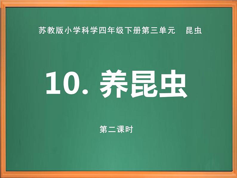 苏教版小学科学四下第三单元《10.养昆虫》（第二课时）课件PPT+教案+视频素材01