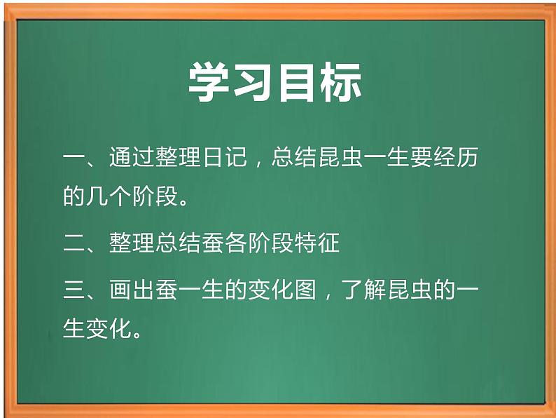 苏教版小学科学四下第三单元《10.养昆虫》（第二课时）课件PPT+教案+视频素材02