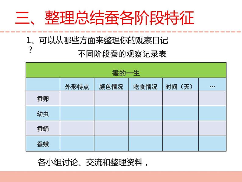 苏教版小学科学四下第三单元《10.养昆虫》（第二课时）课件PPT+教案+视频素材06