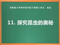 苏教版 (2017)四年级下册11 探究昆虫的奥秘精品课件ppt