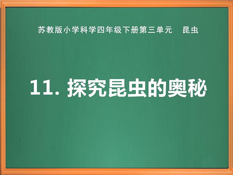 苏教版小学科学四下第三单元《11.探究昆虫的奥秘》课件PPT+教案+视频素材01