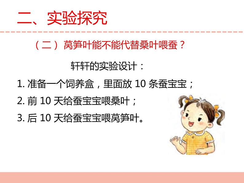 苏教版小学科学四下第三单元《11.探究昆虫的奥秘》课件PPT+教案+视频素材05