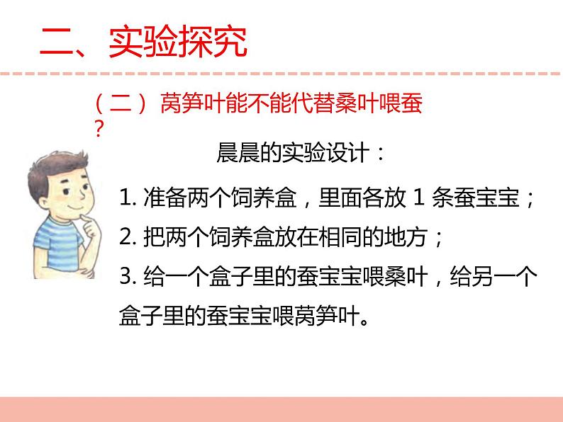 苏教版小学科学四下第三单元《11.探究昆虫的奥秘》课件PPT+教案+视频素材06