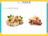 1.1 種子發(fā)芽了 （課件+教案+視頻）