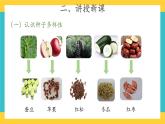 1.1 種子發(fā)芽了 （課件+教案+視頻）