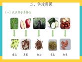 1.1 种子发芽了 （课件+教案+视频）