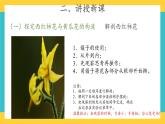 1.3 植物開(kāi)花了 （課件+教案+視頻）