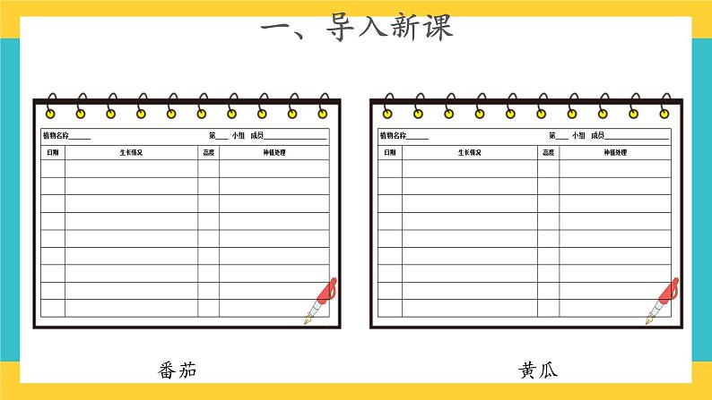 1.4 植物结果了 （课件+教案+视频）02