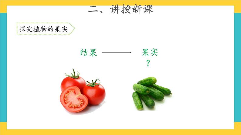 1.4 植物结果了 （课件+教案+视频）03
