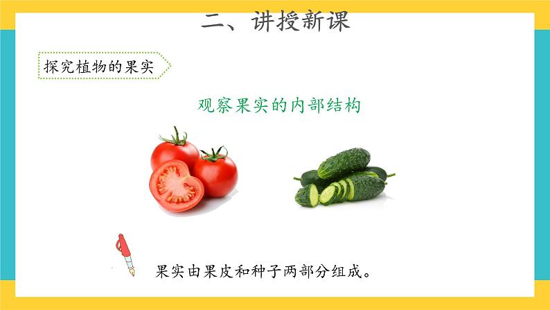 1.4 植物结果了 （课件+教案+视频）04