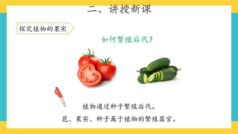 1.4 植物结果了 （课件+教案+视频）05