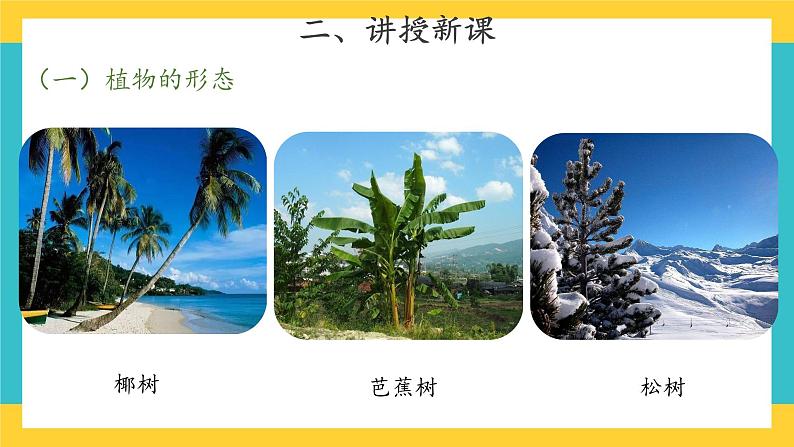 2.5 不同环境里的植物 （课件+教案+音频）04