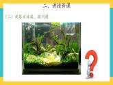 2.7 水里的植物 （课件+教案+素材）