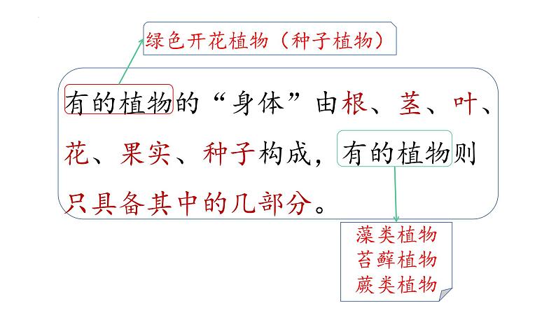 第5课 植物的“身体  （含练习）课件 三年级科学上册  青岛六三制第5页