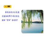 第7課 植物的莖 （含練習(xí)）課件 三年級(jí)科學(xué)上冊(cè)  青島六三制