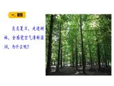 第8课 叶的蒸腾作用 （含练习）课件 三年级科学上册  青岛六三制