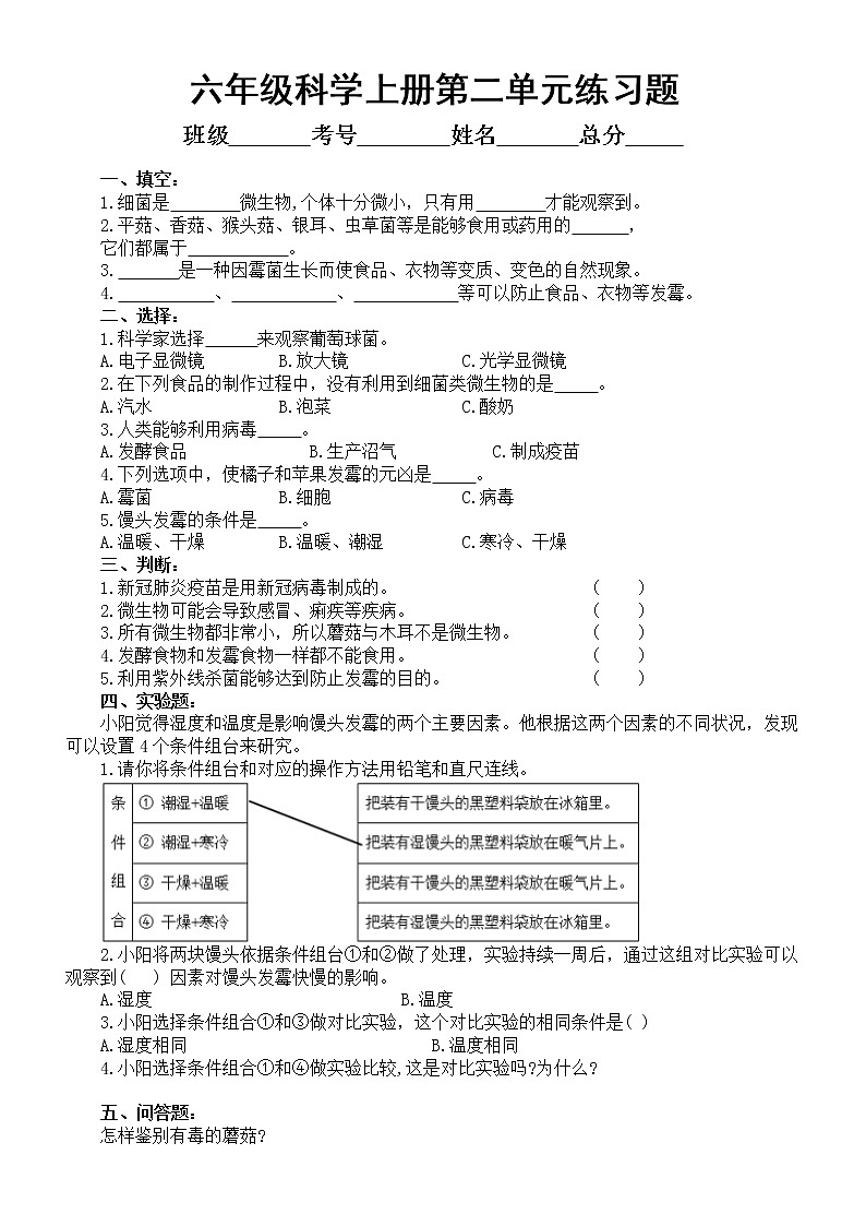 小学科学青岛版六三制六年级上册第二单元《微生物》练习题1（2022秋）（附参考答案）第1页