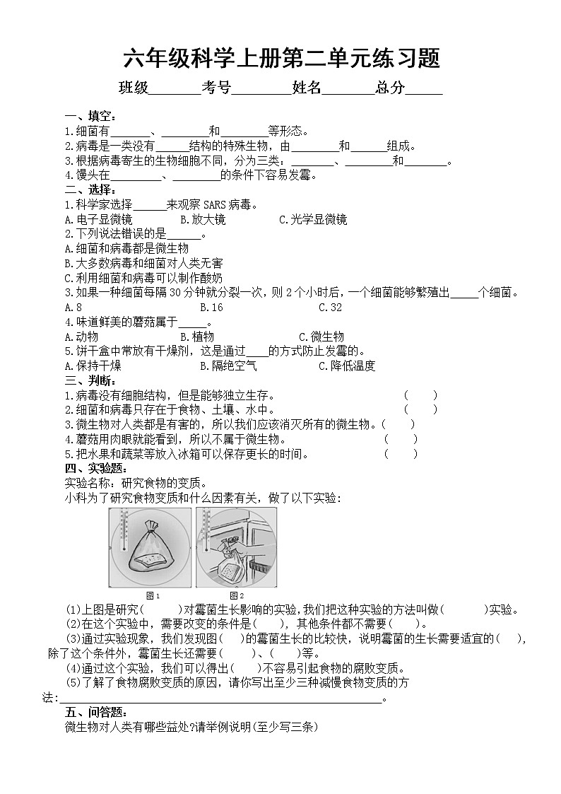 小学科学青岛版六三制六年级上册第二单元《微生物》练习题2（2022秋）（附参考答案）01
