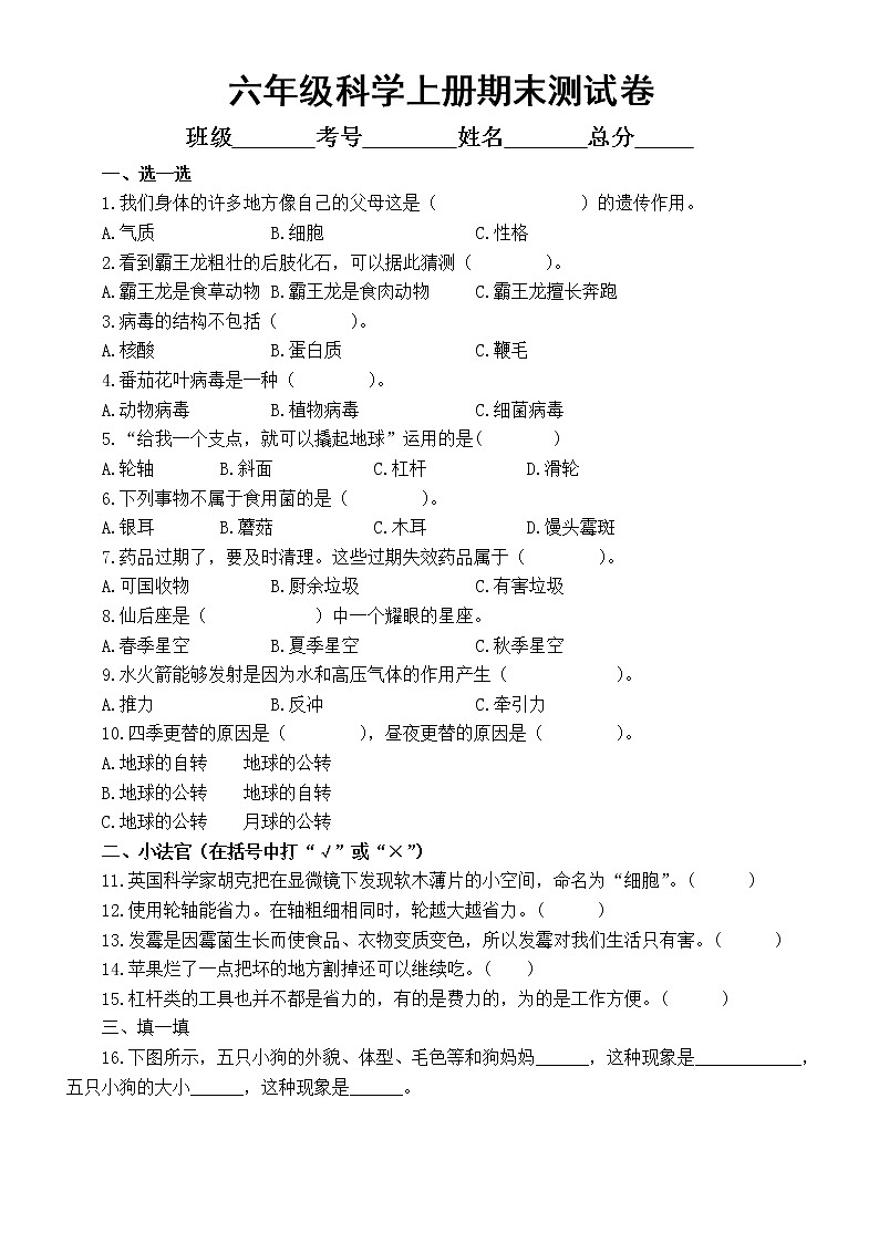 小学科学青岛版六三制六年级上册期末测试卷1（2022秋）（附参考答案）01