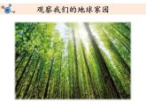 教科版二年级科学上册课件1地球家园中有什么