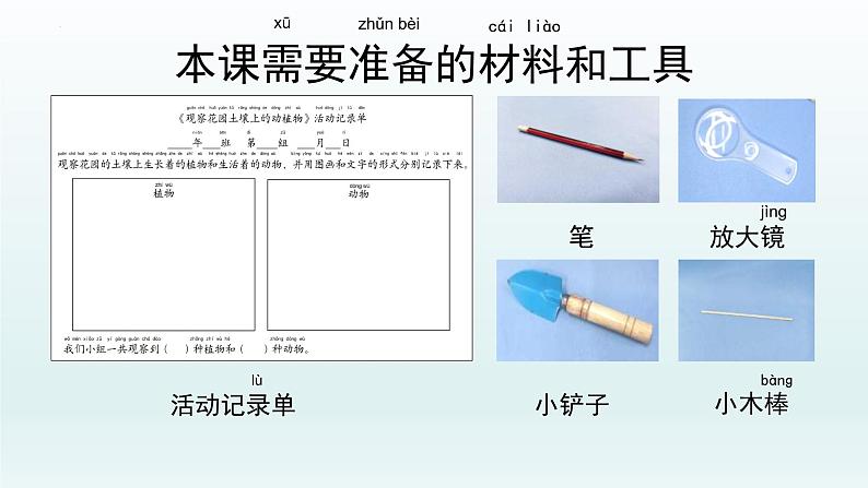 教科版二年级科学上册课件1土壤——动植物的乐园02