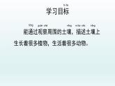 教科版二年级科学上册课件1土壤——动植物的乐园