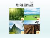 教科版二年级科学上册课件1土壤——动植物的乐园